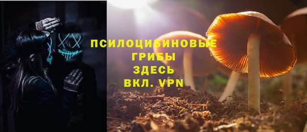 прущая мука Покачи