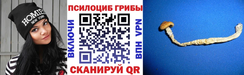 Галлюциногенные грибы MAGIC MUSHROOMS  Анадырь 